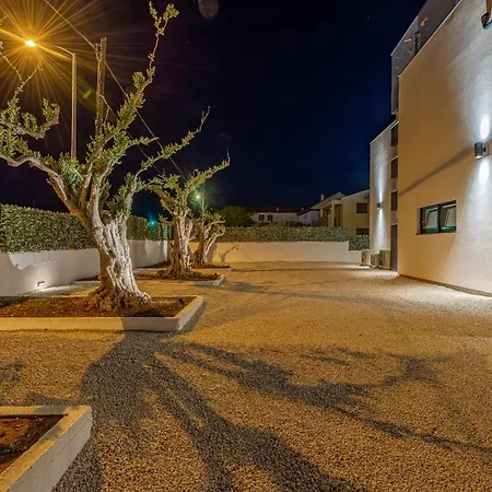 Villa Luxury David Zadar,